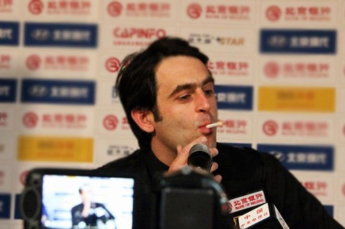 新的主人 新的主人